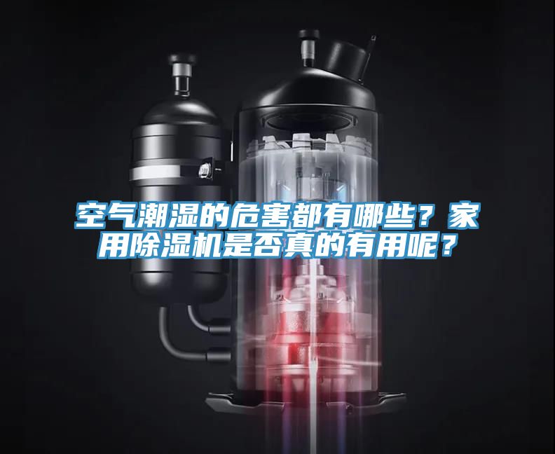 空气潮湿的危害都有哪些？家用猫咪成人官网是否真的有用呢？