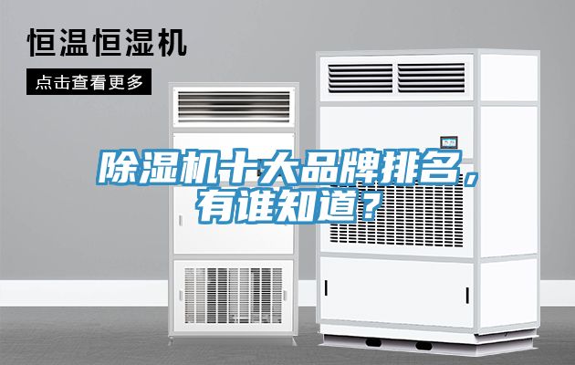 猫咪成人官网十大品牌排名，有谁知道？