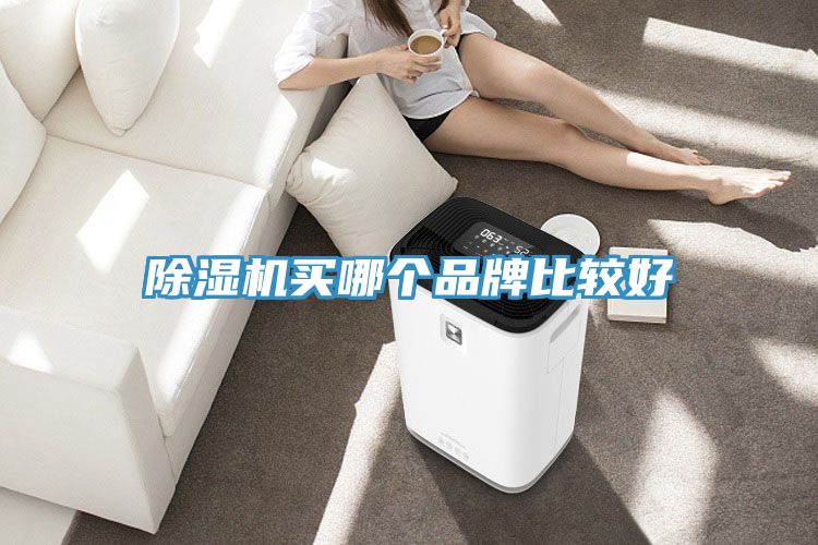 猫咪成人官网买哪个品牌比较好