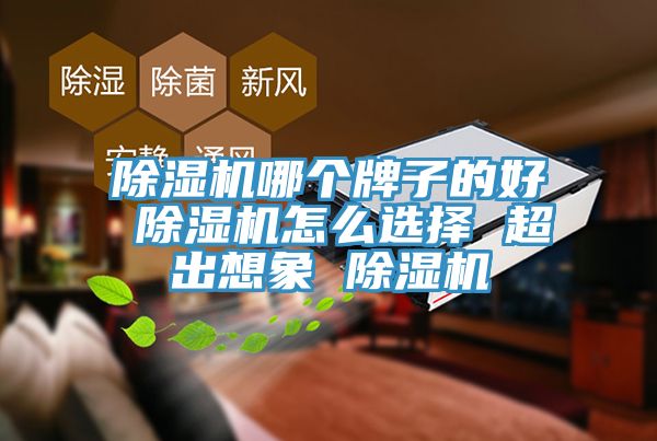 猫咪成人官网哪个牌子的好 猫咪成人官网怎么选择 超出想象 猫咪成人官网