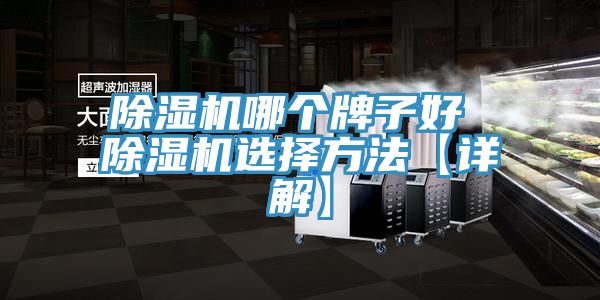 猫咪成人官网哪个牌子好 猫咪成人官网选择方法【详解】