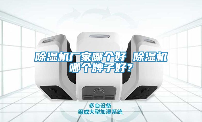 猫咪成人官网厂家哪个好 猫咪成人官网哪个牌子好？