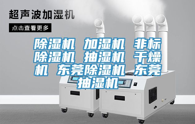 猫咪成人官网 加湿机 非标猫咪成人官网 抽湿机 干燥机 东莞猫咪成人官网 东莞抽湿机