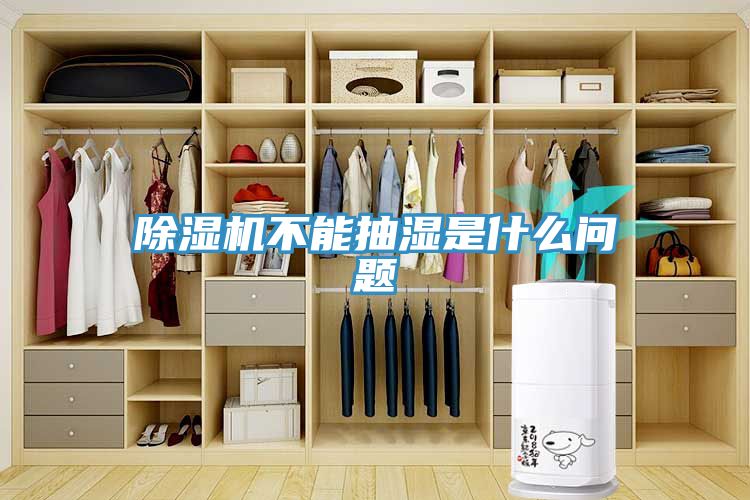 猫咪成人官网不能抽湿是什么问题