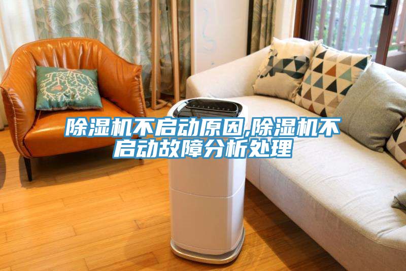 猫咪成人官网不启动原因,猫咪成人官网不启动故障分析处理