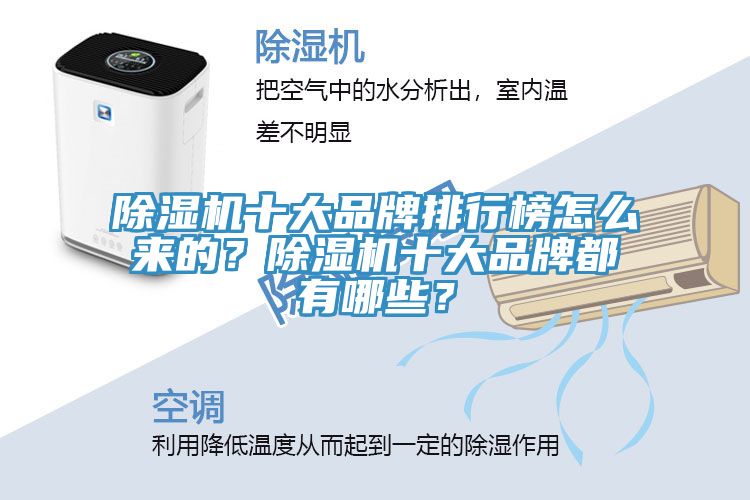 猫咪成人官网十大品牌排行榜怎么来的？猫咪成人官网十大品牌都有哪些？