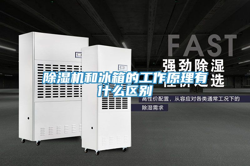 猫咪成人官网和冰箱的工作原理有什么区别