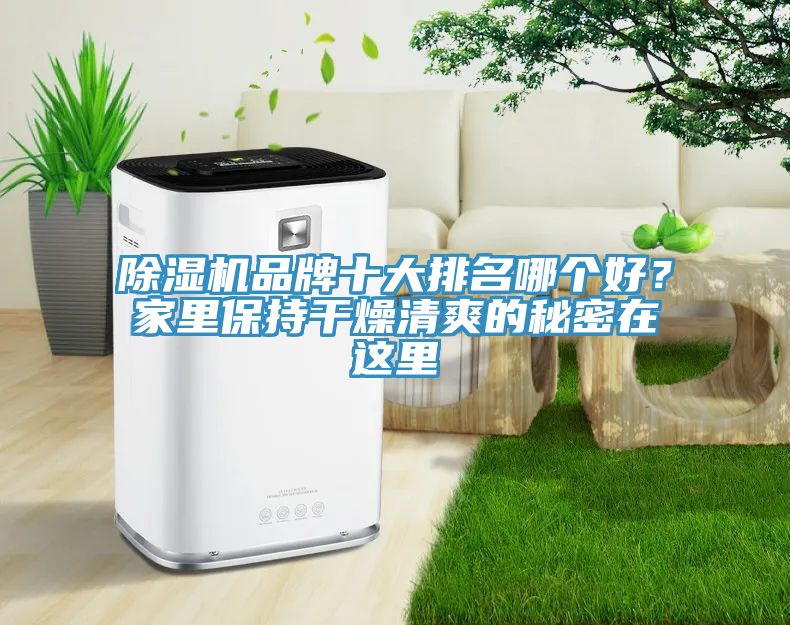猫咪成人官网品牌十大排名哪个好？家里保持干燥清爽的秘密在这里