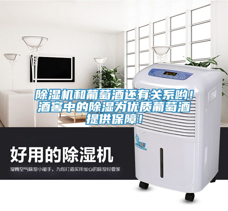 猫咪成人官网和葡萄酒还有关系哟！酒窖中的除湿为优质葡萄酒提供保障！
