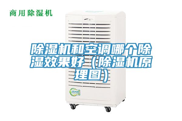 猫咪成人官网和空调哪个除湿效果好（猫咪成人官网原理图）