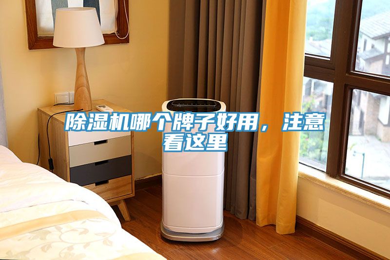 猫咪成人官网哪个牌子好用，注意看这里