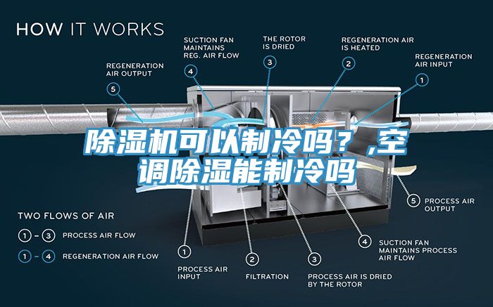 猫咪成人官网可以制冷吗？,空调除湿能制冷吗