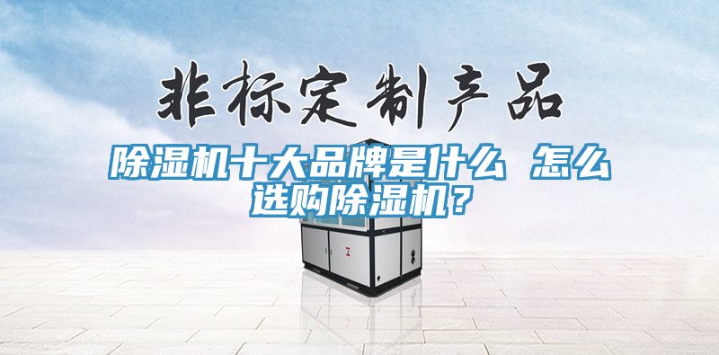猫咪成人官网十大品牌是什么 怎么选购猫咪成人官网？