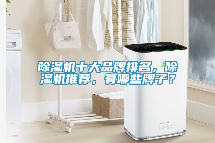 猫咪成人官网十大品牌排名，猫咪成人官网推荐，有哪些牌子？