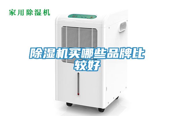 猫咪成人官网买哪些品牌比较好
