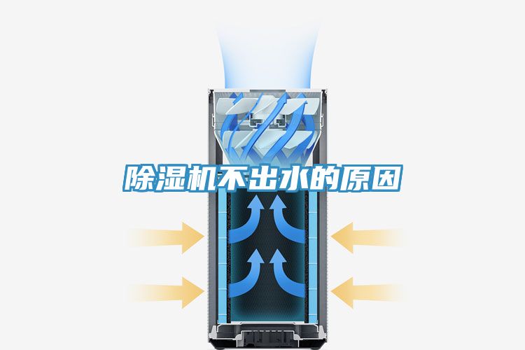 猫咪成人官网不出水的原因
