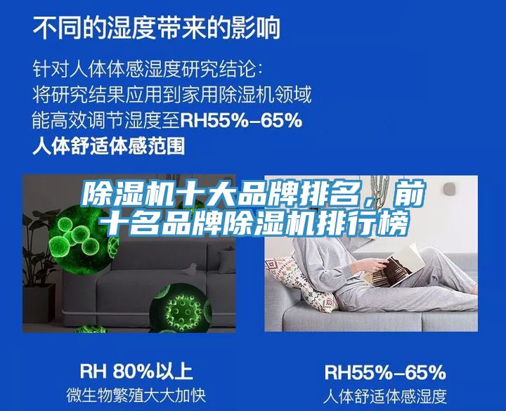 猫咪成人官网十大品牌排名，前十名品牌猫咪成人官网排行榜