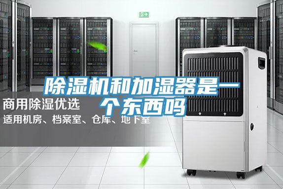 猫咪成人官网和加湿器是一个东西吗
