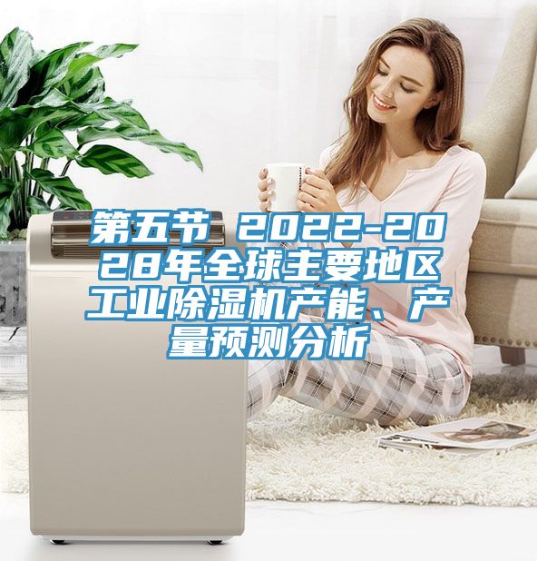 第五节 2022-2028年全球主要地区工业猫咪成人官网产能、产量预测分析