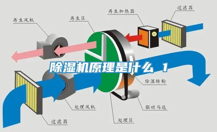 猫咪成人官网原理是什么 1