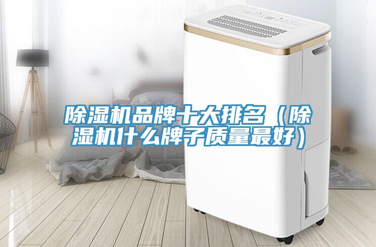 猫咪成人官网品牌十大排名（猫咪成人官网什么牌子质量最好）