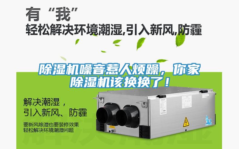 猫咪成人官网噪音惹人烦躁，你家猫咪成人官网该换换了！