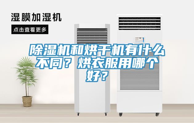 猫咪成人官网和烘干机有什么不同？烘衣服用哪个好？