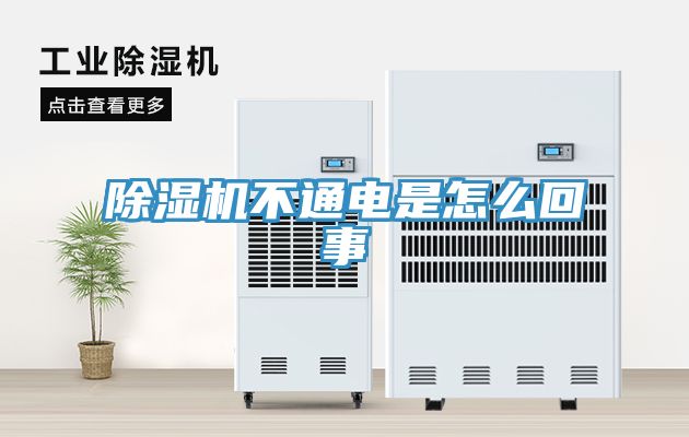 猫咪成人官网不通电是怎么回事