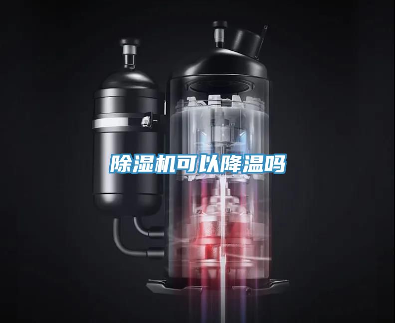 猫咪成人官网可以降温吗