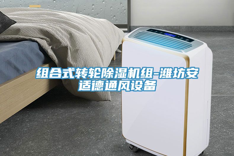 组合式转轮猫咪成人官网组-潍坊安适德通风设备