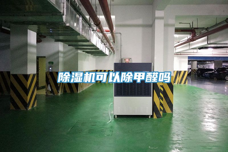 猫咪成人官网可以除甲醛吗