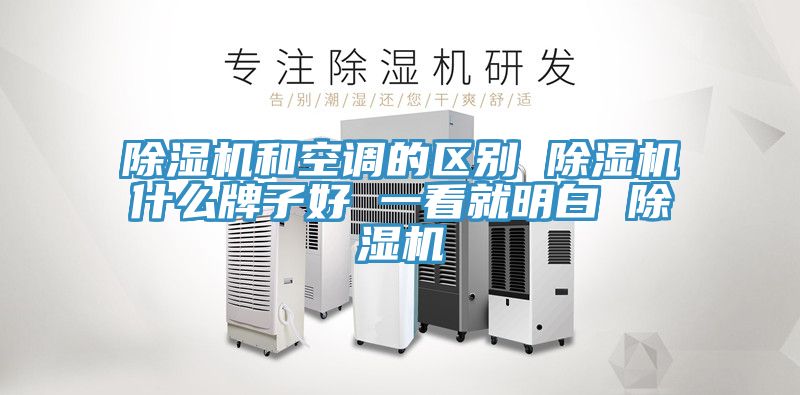 猫咪成人官网和空调的区别 猫咪成人官网什么牌子好 一看就明白 猫咪成人官网