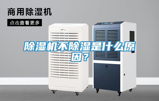 猫咪成人官网不除湿是什么原因？