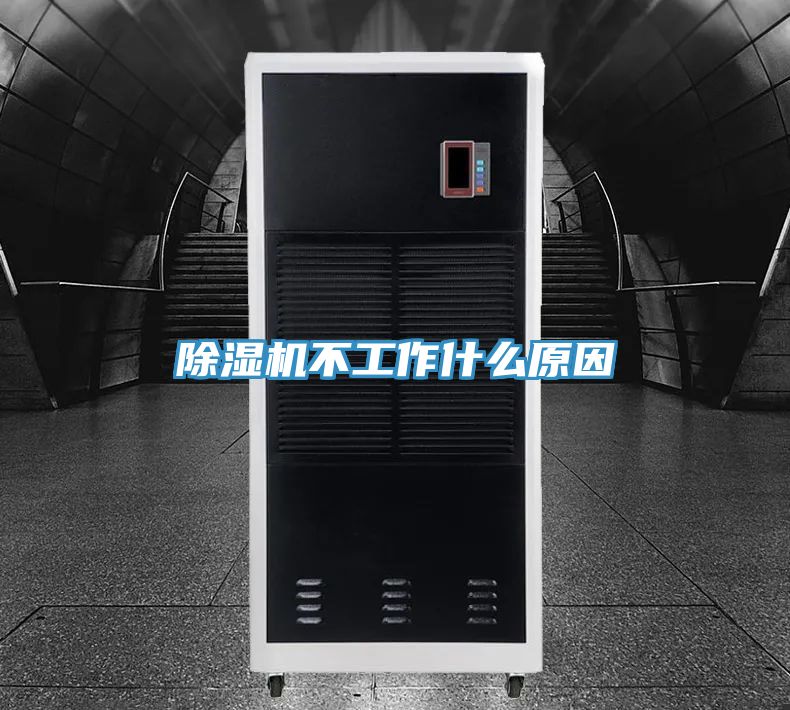 猫咪成人官网不工作什么原因