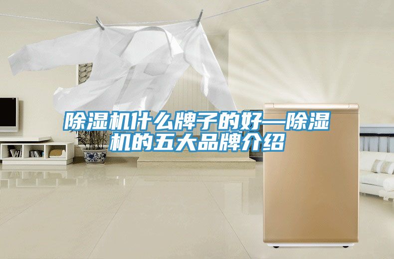 猫咪成人官网什么牌子的好—猫咪成人官网的五大品牌介绍