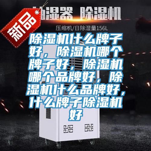 猫咪成人官网什么牌子好，猫咪成人官网哪个牌子好，猫咪成人官网哪个品牌好，猫咪成人官网什么品牌好，什么牌子猫咪成人官网好