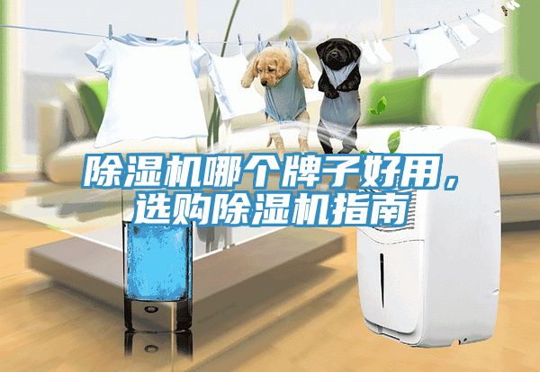 猫咪成人官网哪个牌子好用，选购猫咪成人官网指南
