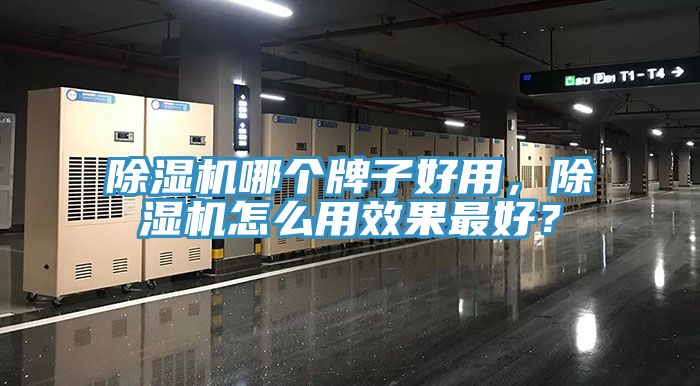 猫咪成人官网哪个牌子好用，猫咪成人官网怎么用效果最好？