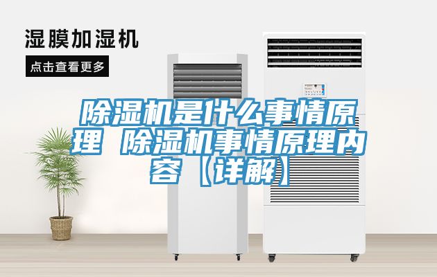 猫咪成人官网是什么事情原理 猫咪成人官网事情原理内容【详解】