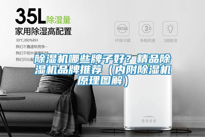 猫咪成人官网哪些牌子好？精品猫咪成人官网品牌推荐（内附猫咪成人官网原理图解）