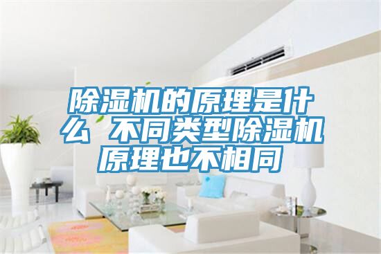 猫咪成人官网的原理是什么 不同类型猫咪成人官网原理也不相同