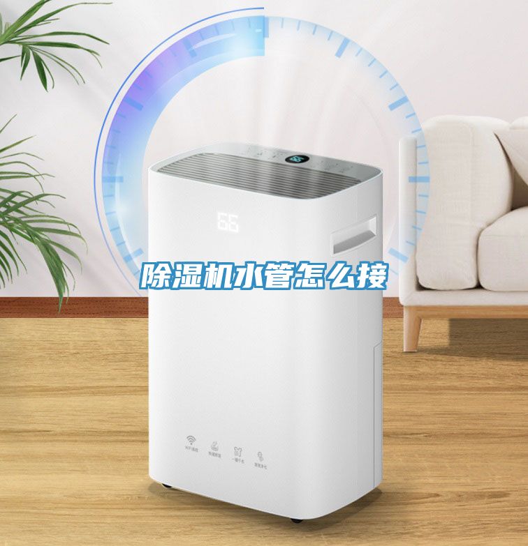 猫咪成人官网水管怎么接