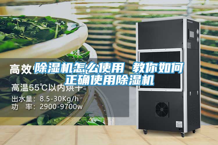 猫咪成人官网怎么使用 教你如何正确使用猫咪成人官网