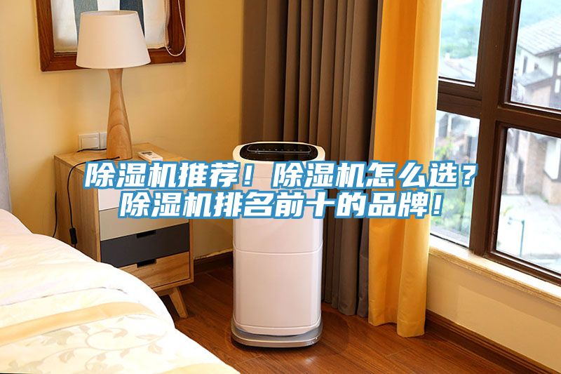 猫咪成人官网推荐！猫咪成人官网怎么选？猫咪成人官网排名前十的品牌！