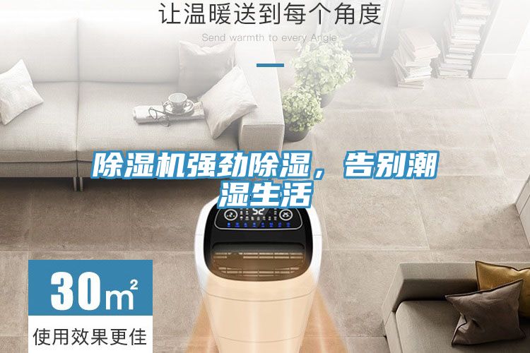 猫咪成人官网强劲除湿，告别潮湿生活