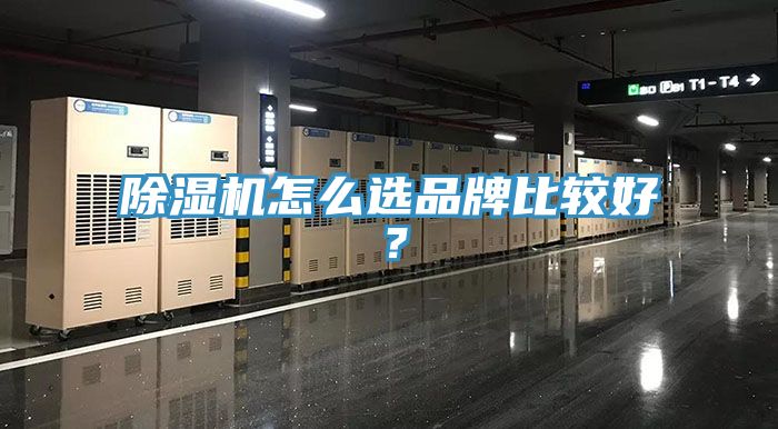 猫咪成人官网怎么选品牌比较好？