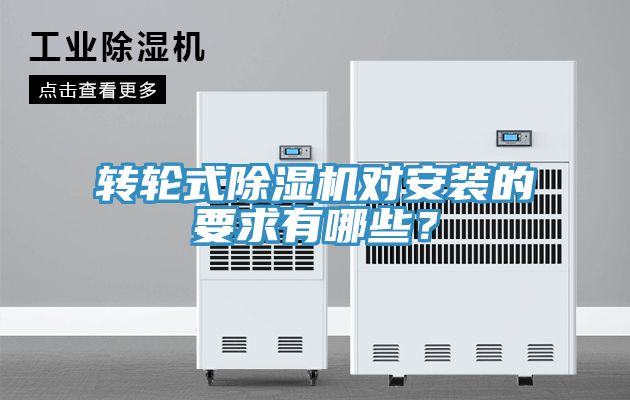 转轮式猫咪成人官网对安装的要求有哪些？