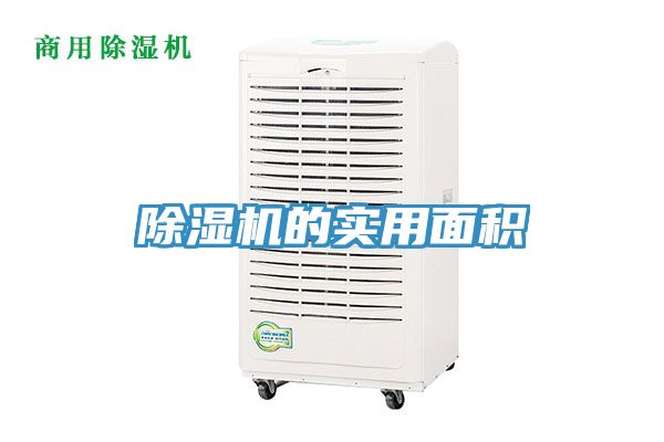 猫咪成人官网的实用面积