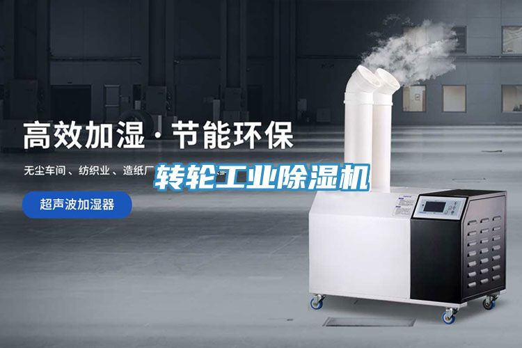 转轮工业猫咪成人官网
