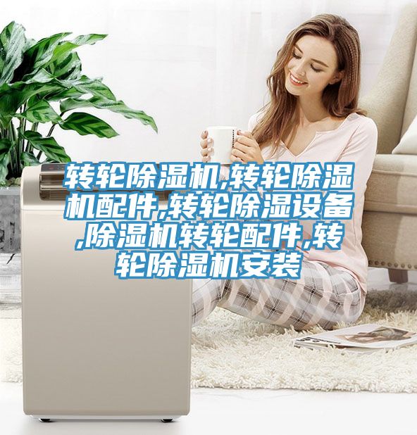 转轮猫咪成人官网,转轮猫咪成人官网配件,转轮除湿设备,猫咪成人官网转轮配件,转轮猫咪成人官网安装